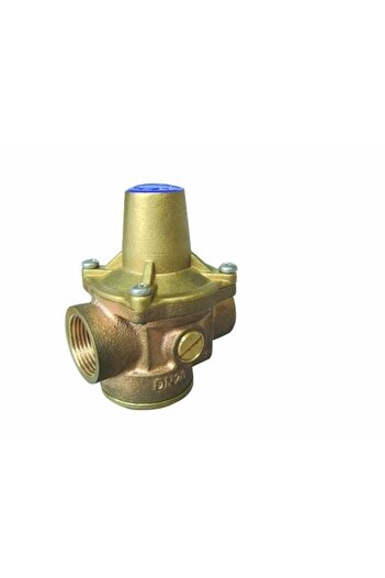 Other Internal threaded reducing valve type 7BIS 12 inch