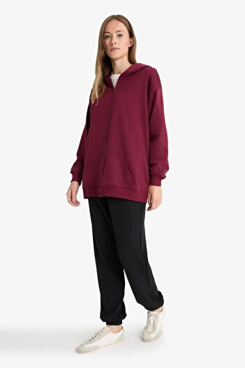 DeFacto Regular Fit Hooded Soft Fleece Thick Zippered Sweatshirt D1606Ax25Wn