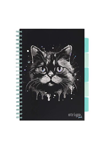 Strigo Spiral notebook and dividers Project Book CAT A4, mathematics, 200 pg, cardboard covers PADS019