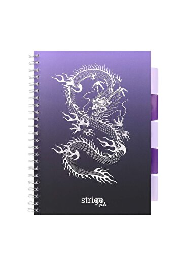 Strigo Spiral notebook and dividers Project Book DRAGON A4, mathematics, 200 pg, cardboard covers PADS050