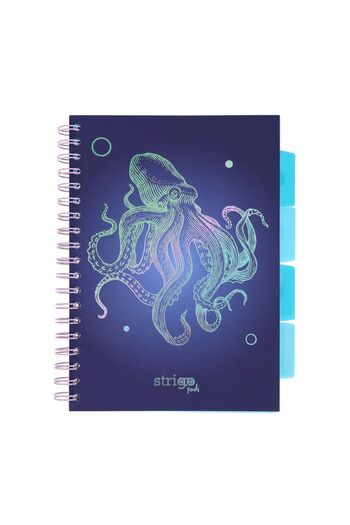 Strigo Spiral notebook and dividers Project Book CARACATITA B5, mathematics, 200 pg, cardboard covers PADS051