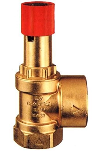 Other Safety valve 1915 55bar 54 inch