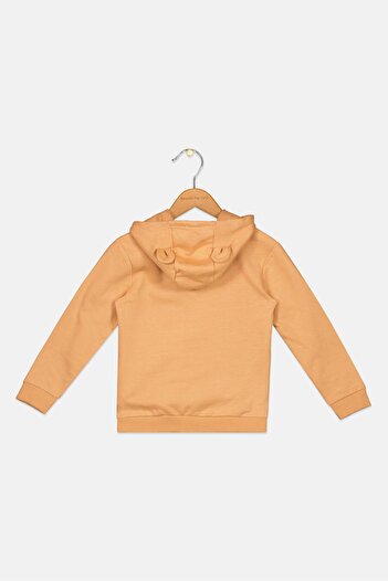 Sinsay Fox and Bunny By Toddlers Boy Graphic Print Long Sleeves Hoodie, Multicolor