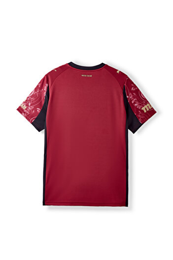 GSStore Galatasaray Puma 2025/2026 Alternative Jersey 77981303