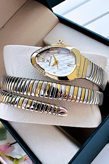Daniel Klein Snake Watch Model - Women's Wrist Watch, Waterproof Gold Silver Steel Band - Bracelet Gift Dkby2044C3