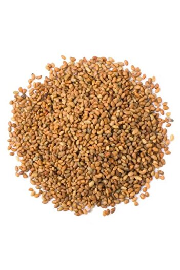 genernic Alfalfa Seeds Abu Ghazal, 25 kg Bag