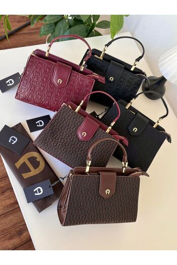 chch High-quality international brand shoulder bag, Master Aigner, large size, 24 cm * 14 cm