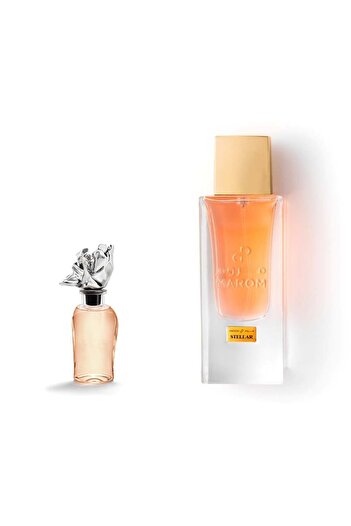 Maroom Stellar perfume inspired by Stellar Times LV