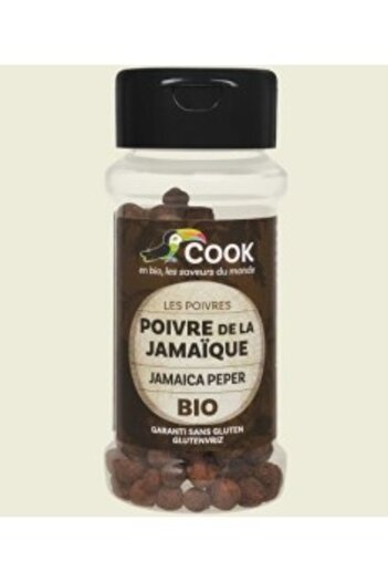 COOK New Organic BBQ Spice Mix 40 g Product Code NAT