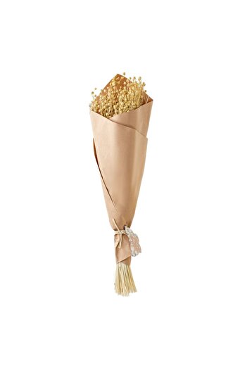 OEM Buchet Decorativ cu Plante Artificiale Seminte Crem 50cm