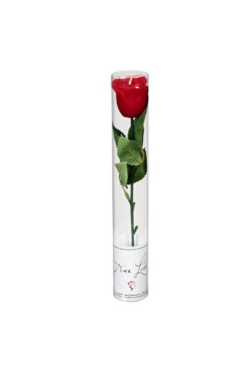 OEM Red Rose Candle in Box 26x4cm
