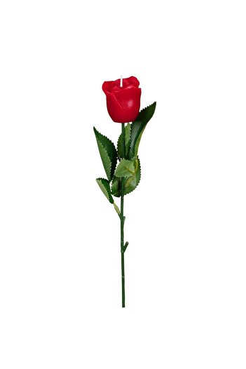 OEM Red Rose Candle in Box 26x4cm