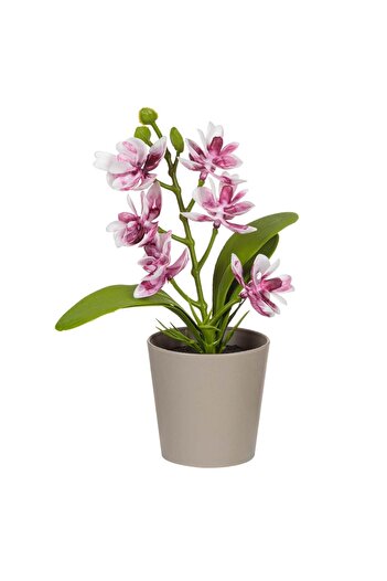 OEM Decorative Beige Plastic Pot with Artificial Orchid Plant Ø6x17cm