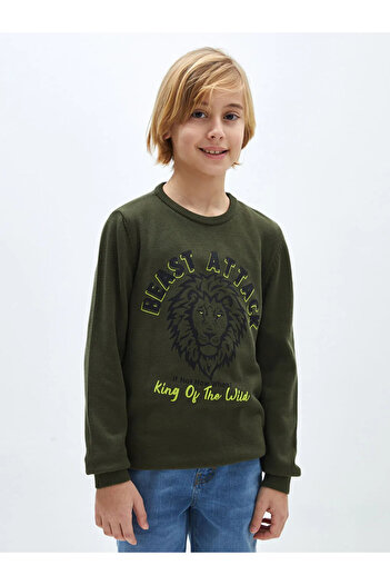 LC Waikiki Lcw Kids Green Crew Neck Pattern Long Sleeve Boy's Knitwear Sweater