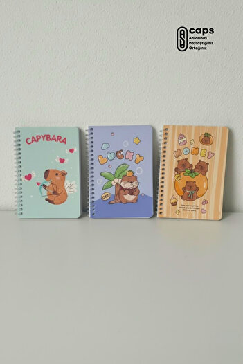caps office 3 Pieces Capybara Themed A6 Lined Spiral Notebook Set – 50 Sheets