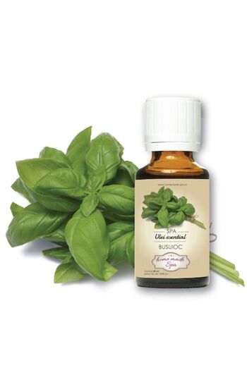 Homemade Spa Basil essential oil (Ocimum Basilicum) 10 ml,