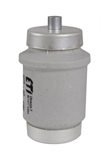 Other Fast fuse link DIVgF100A 500V