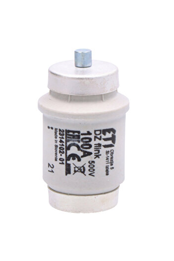 Other Fast fuse link DIVgF100A 500V