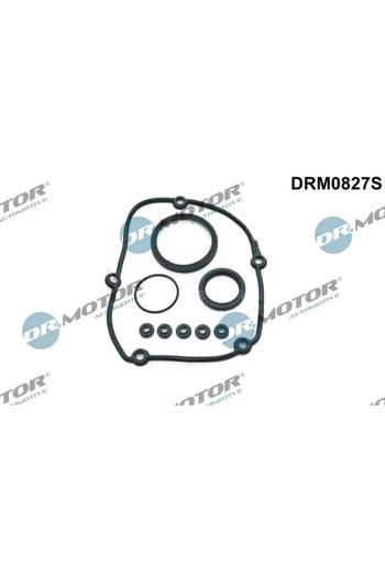 DR.MOTOR AUTOMOTIVE Timing case gasket set AUDI A3 (8P1) 2004-2012