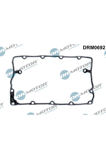 DR.MOTOR AUTOMOTIVE Valve cover gasket AUDI A3 (8P1) 2003-2010