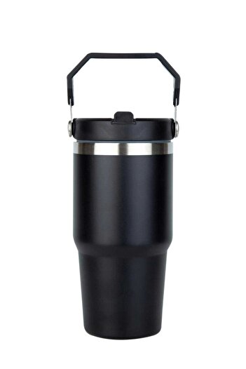 Globox Steel Thermos with Straw and Handle Wide Top 650 ml