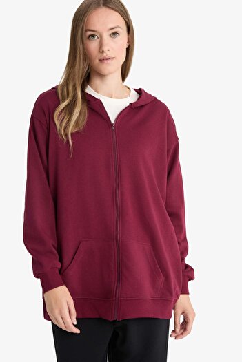DeFacto Regular Fit Hooded Soft Fleece Thick Zippered Sweatshirt D1606Ax25Wn
