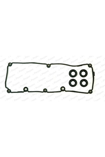 PAYEN Valve cover gasket set AUDI A3 (8P1) 2009-2012