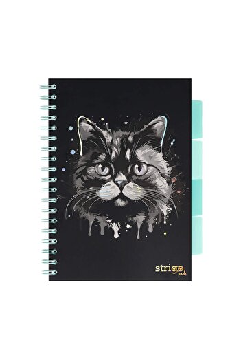 Strigo Spiral notebook and dividers Project Book PISICA B5, dictando, 200 pg, cardboard covers PADS095