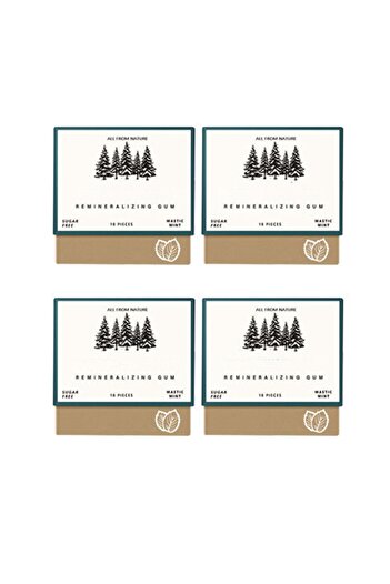 Choice One Size B Remineralizing Chewing Gum, 2025 Organic Natural Mastic Mint Gum Sugar Free Freshen Breat