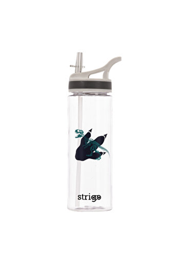 Strigo Bidon Dinosaur Collection, 600 ml SSC270