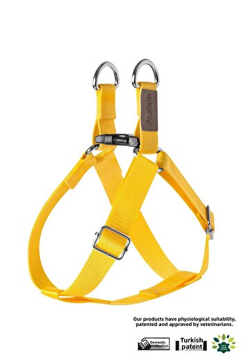 pasiole Adjustable Sturdy Dog Collar - Cestino