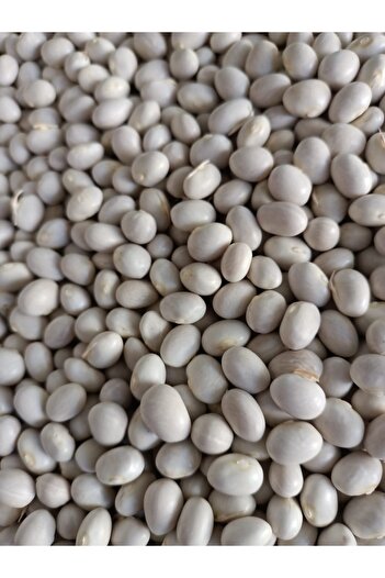 Haci Kamil İSPİR ŞEKER FASULYE 25 KG DÖKME ÇUVAL
