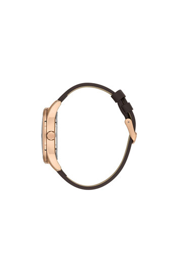 Daniel Klein Premium Watch DK.1.13800.5