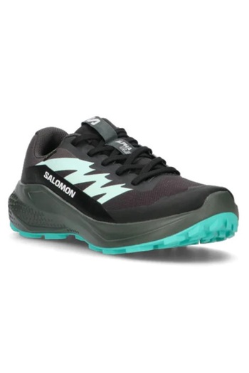 Salomon 478023 Γυναικεία αθλητικά παπούτσια Alphaglide Gtx W Trail Running