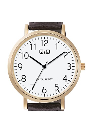 Q&Q Men's Watch, by Citizen, Classic C34A-008Y