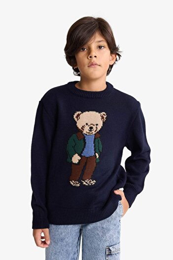 DeFacto Boy's Crew Neck Teddy Bear Printed Knitwear Sweater G3077A825Wn