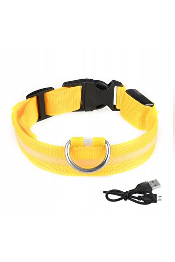 Other LED Waterproof Dog Collar with USB Cable, Yellow, XL, 52-60cm