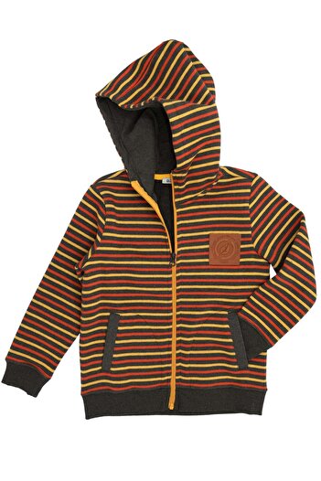 Ozmoz By Mukadder Özden Reborn Boy's Hooded Hoodie Jacket Striped