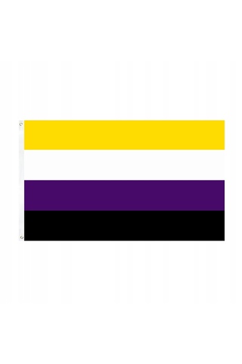 Other LGBT RAINBOW FLAG LARGE 90x150cm NON-BINARY F1