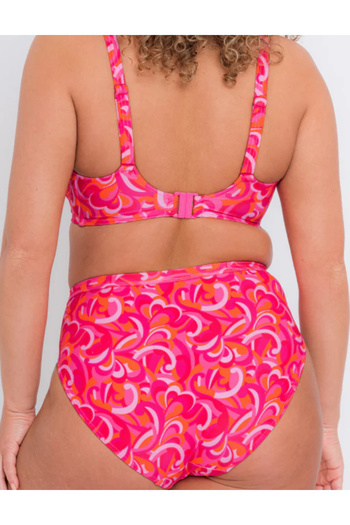 Curvy Kate Curvy Kate briefs, mixed colors