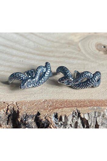 Viking Snake Design Nail Model 316L Stainless Tarnish-Free Steel Earrings Pair