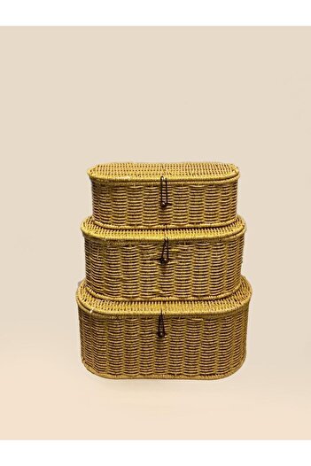 ÇIRPAN EV 3-Piece Synthetic Wicker Basket/Organizer with Oval Lid