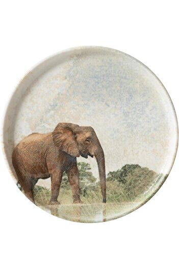 STOREMAX Concept Pasta Plate 20cm - Elephant 1088605