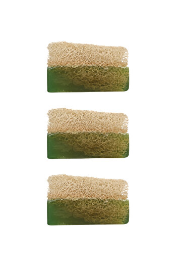 Dr.Dermalok Set of 3 Pumpkin Fiber Avocado Soap (Peeling Effect)