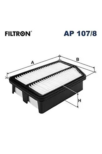 Filtron Ap1078 Air Filter 281132S000 281133Z100 S281132S000