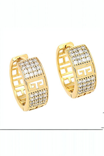 SelinDiamond Zircon stone vip earrings