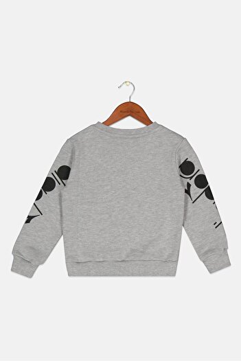 Diadora Toddlers Boy Brand Logo Long Sleeve Sweatshirt, Grey