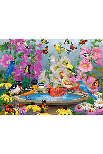 Castorland Puzzle 2000 pieces Rhythm of Nature 200818