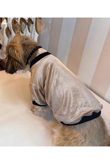 For a Fur Brown Velvet Dog Sweater
