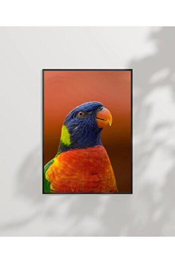 VOGLOO Colorful Parrot Portrait Poster